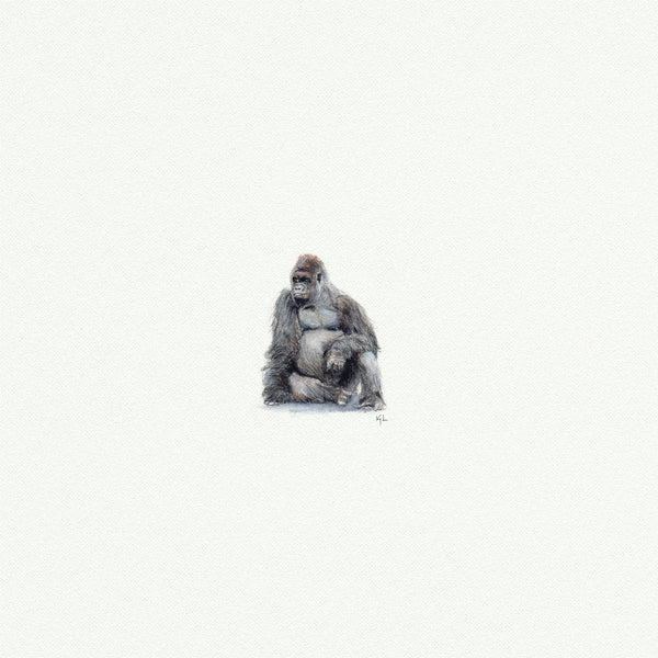 Gorilla 1 - Open Edition