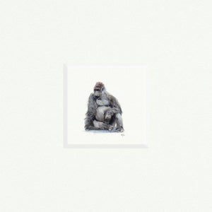 Gorilla - Open Edition