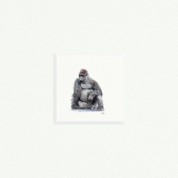 Gorilla 1 - Open Edition