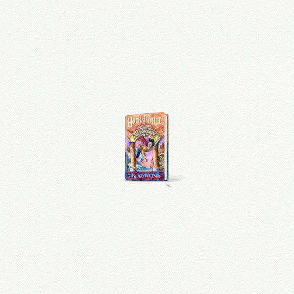 Harry Potter book - Open Edition