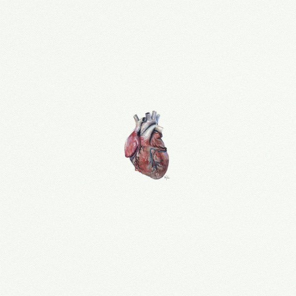 Heart Anatomical - Open Edition