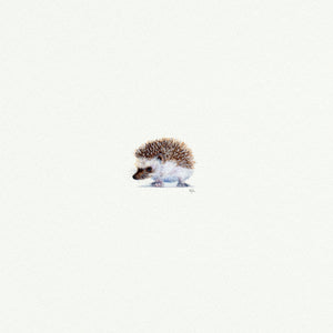 Hedgehog - Open Edition