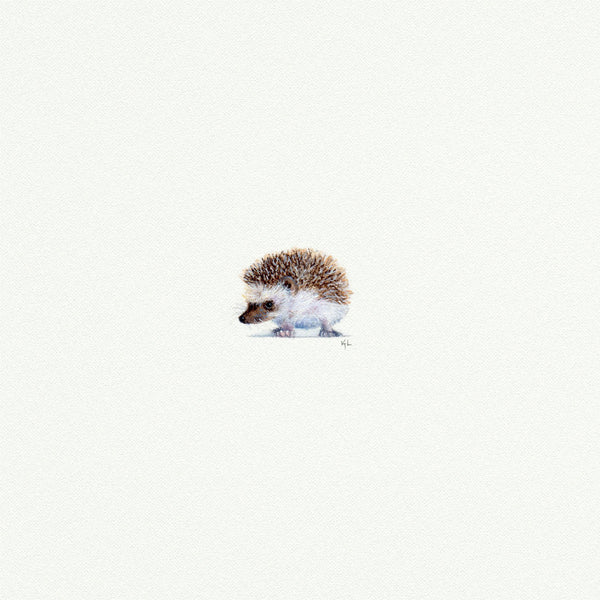 Hedgehog - Open Edition
