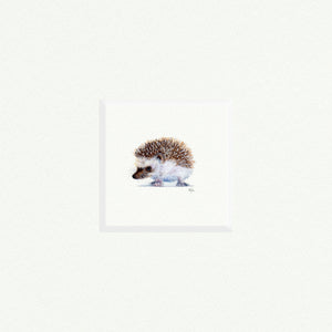 Hedgehog - Open Edition