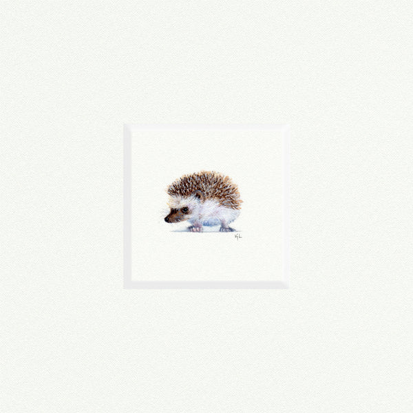 Hedgehog - Open Edition