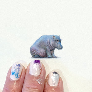 Hippo  - Open Edition