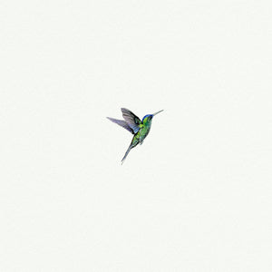 Hummingbird