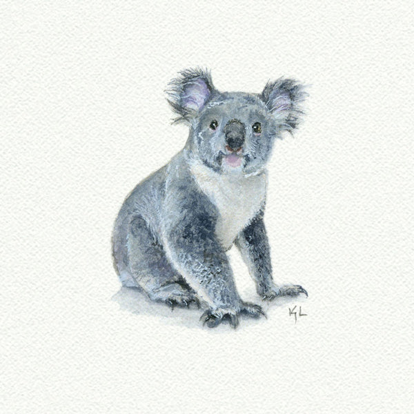 Koala - Open Edition