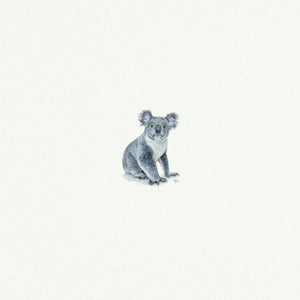 Koala - Open Edition