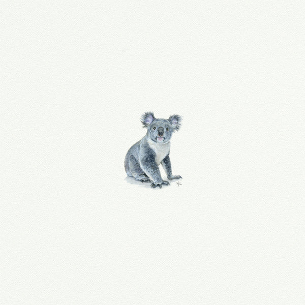 Koala - Open Edition