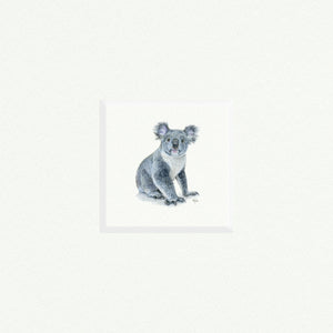 Koala - Open Edition
