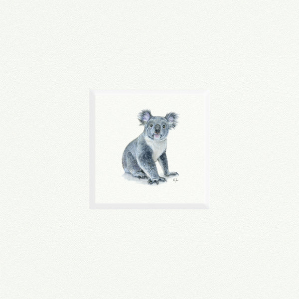 Koala - Open Edition
