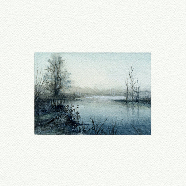 Foggy Lake Landscape