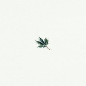 Marijuana Leaf - Open Edition