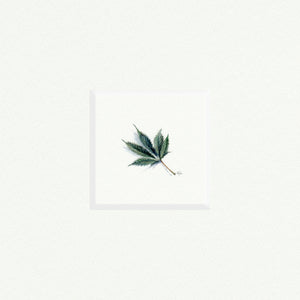 Marijuana Leaf - Open Edition