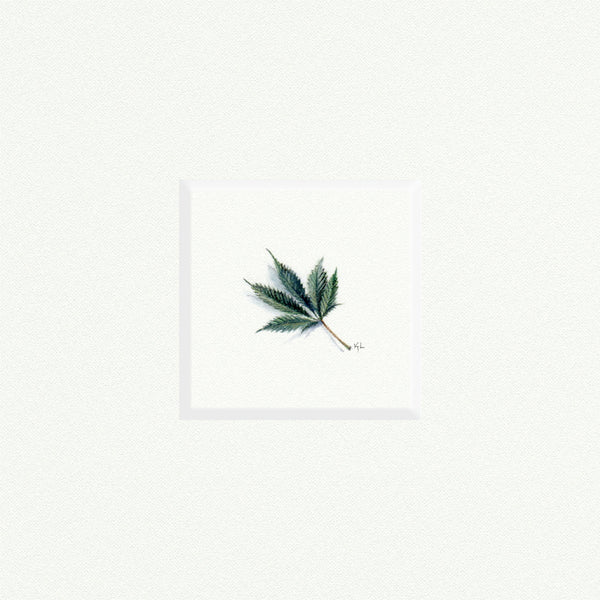 Marijuana Leaf - Open Edition