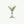 Martini Glass - Open Edition