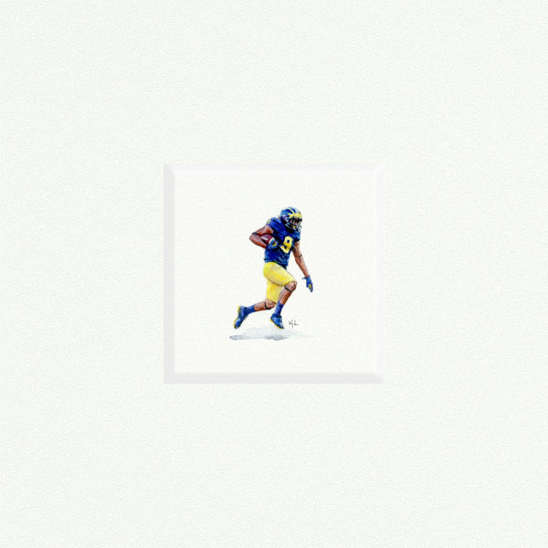Michigan Football - Open Edition
