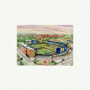 Michgan Stadium