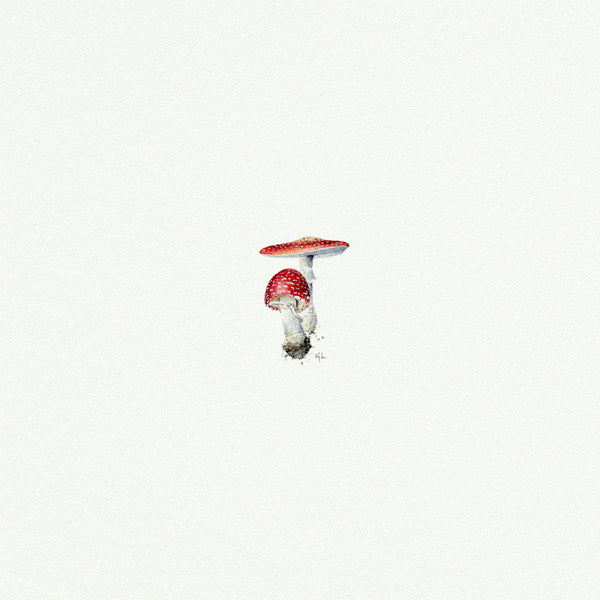 Mushrooms - Open Edition