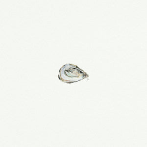 Oyster - Open Edition