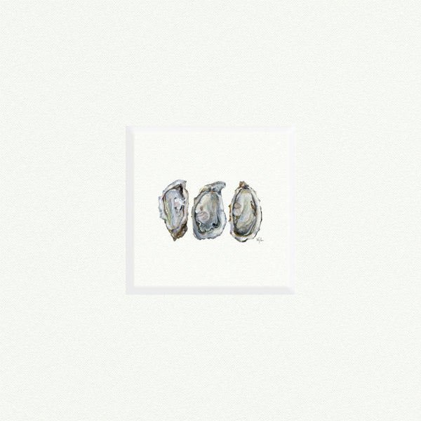 Oysters - Open Edition