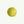 Pickleball - Open Edition