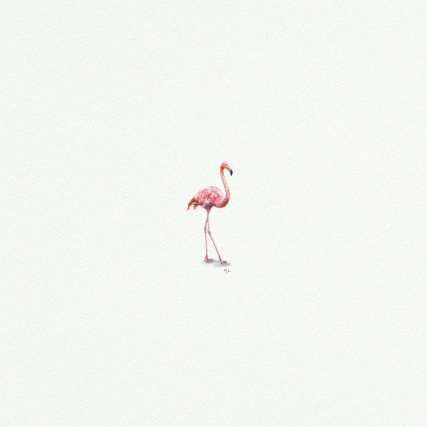 Pink Flamingo - Open Edition