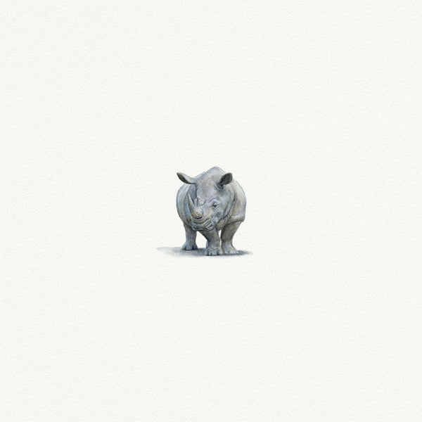 Rhinosaurus