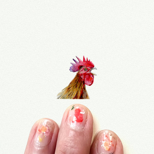 Rooster/Chicken
