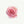 Rose - Open Edition
