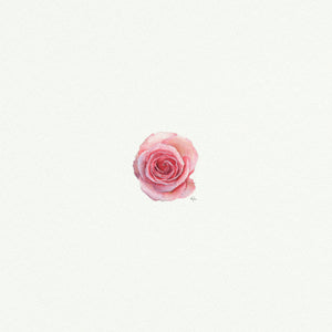 Rose - Open Edition