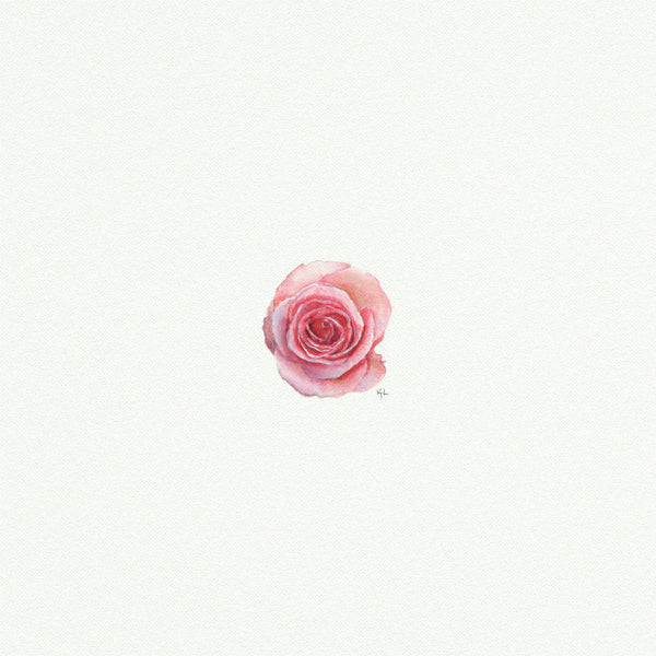 Rose - Open Edition