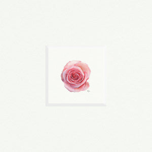 Rose - Open Edition