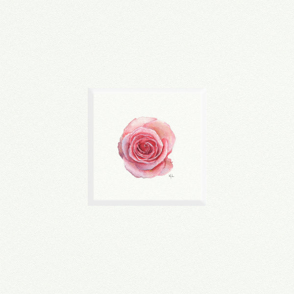 Rose - Open Edition