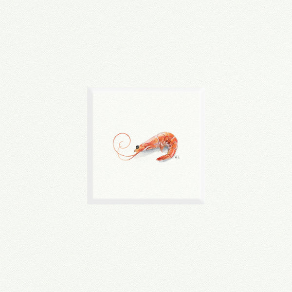Shrimp - Open Edition