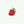 Strawberry Whole - Open Edition