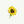 Sunflower - Open Edition