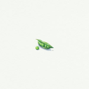 Sweet Pea - Open Edition
