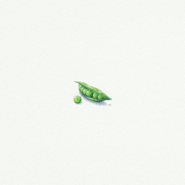 Sweet Pea - Open Edition