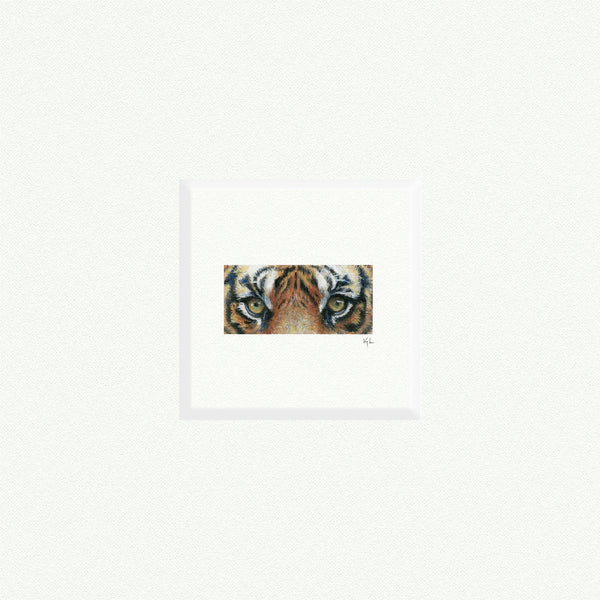 Tiger Eyes - Open Edition