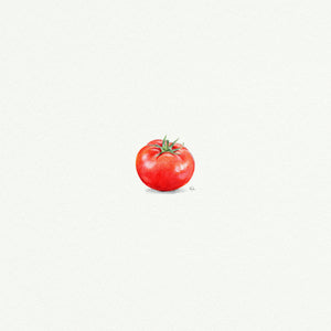 Tomato - Open Edition