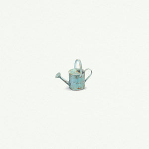 Watering Can