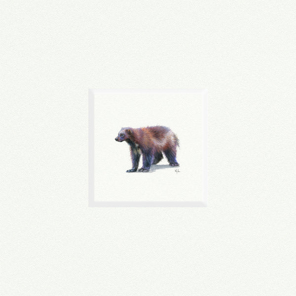Wolverine  - Open Edition