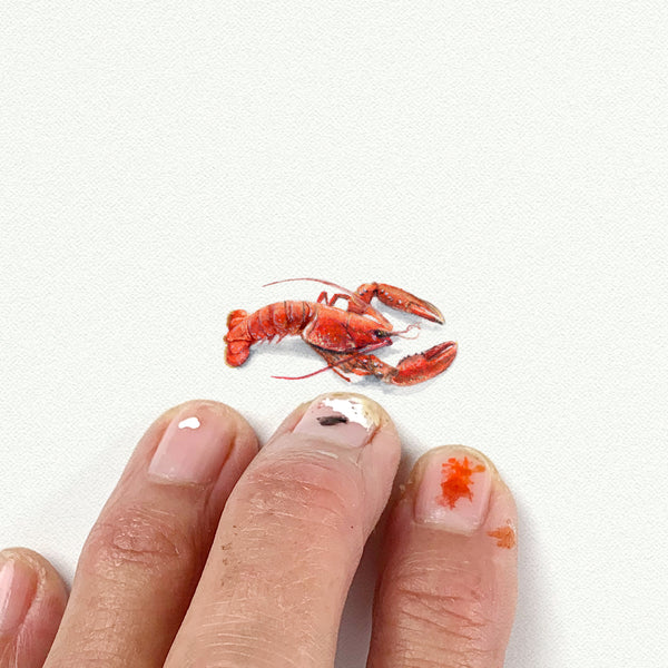 Lobster